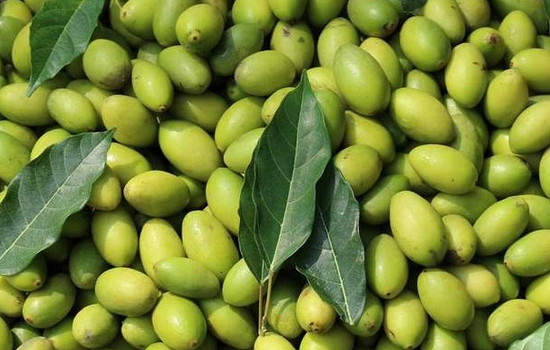 广州江南果菜批发市场 批发市场 最大的水果批