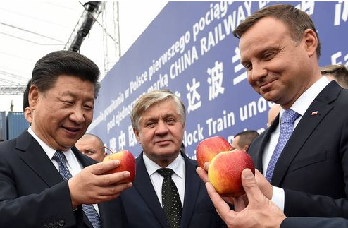 _广州江南果菜批发市场 批发市场 最大的水果